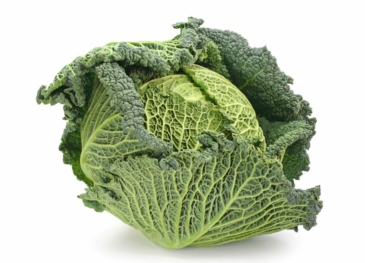 Head Of Savoy Express Cabbage