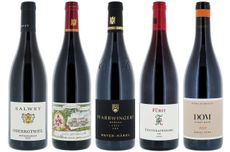 Germany Pinot Noirs Sp&auml;tburgunder