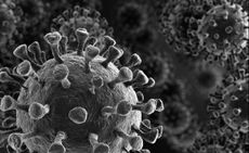 An illustration of coronavirus particles.