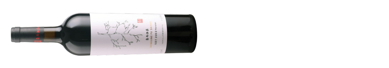 DWWA 2025 winners