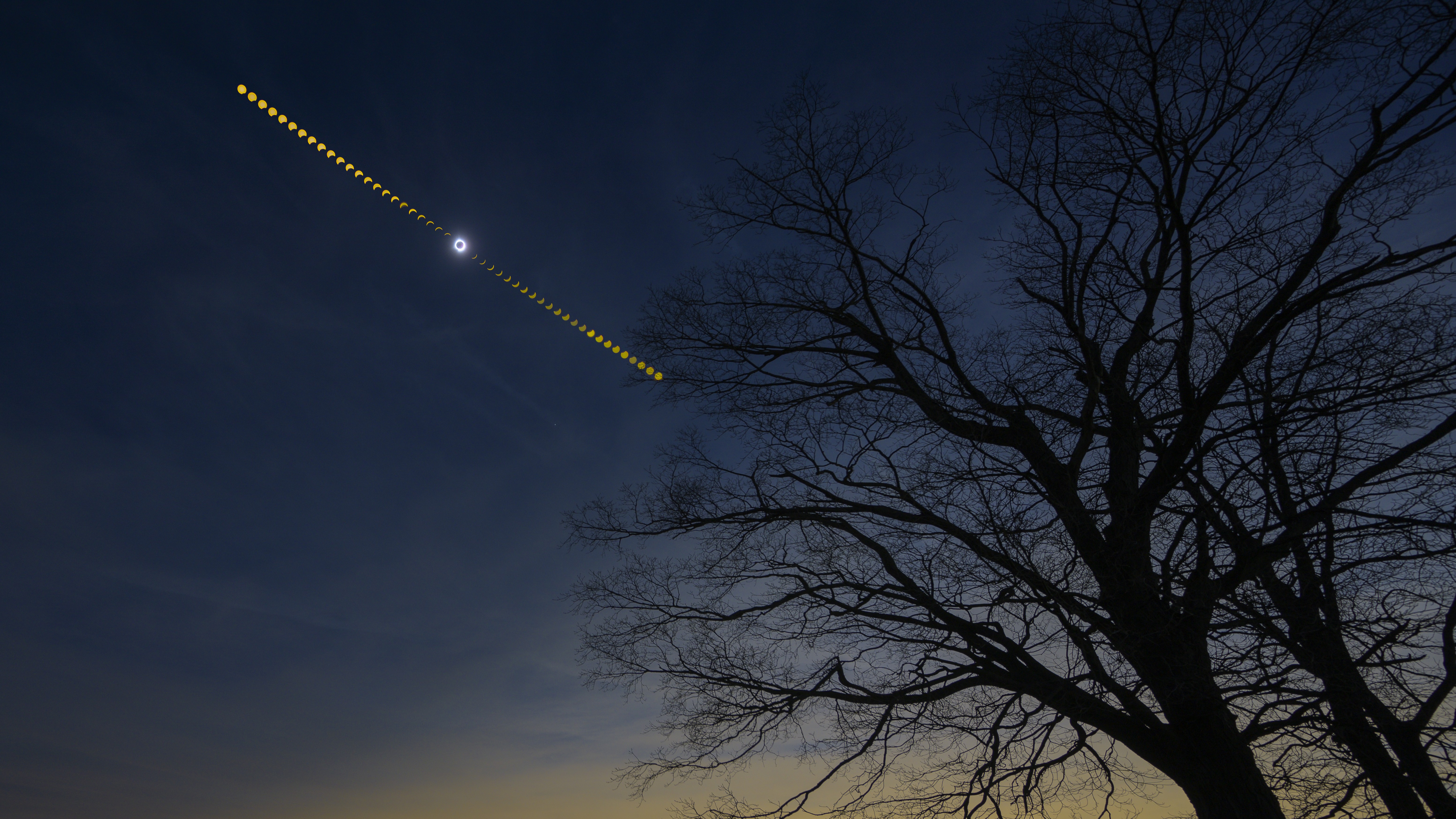 Sequence of a total solar eclipse showing the phases of the eclipse as the moon takes a bigger bite from the sun, in the foreground is a silhouette of a tree.