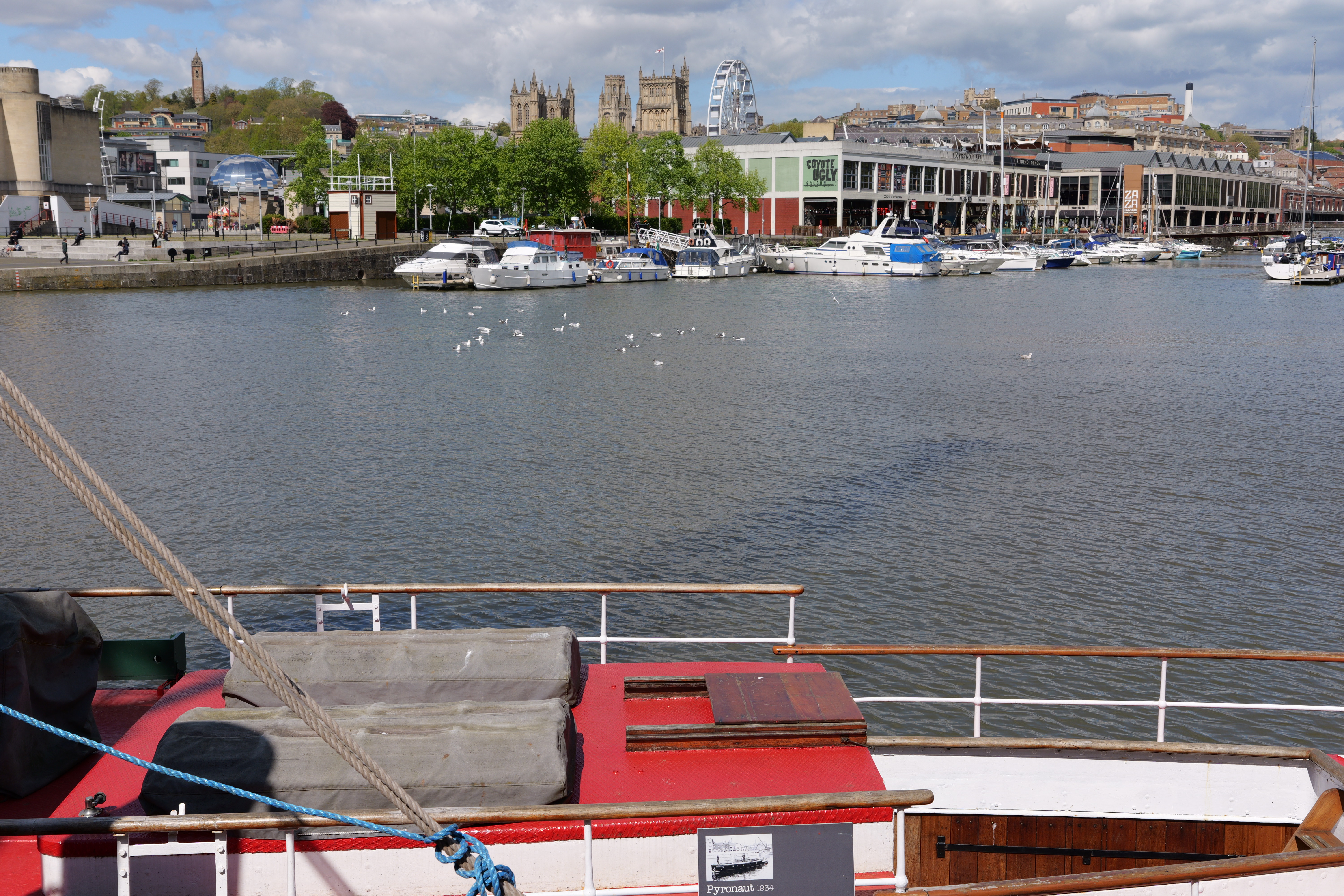 Panasonic Lumix S 18-40mm f/4.5-6.3 sample image