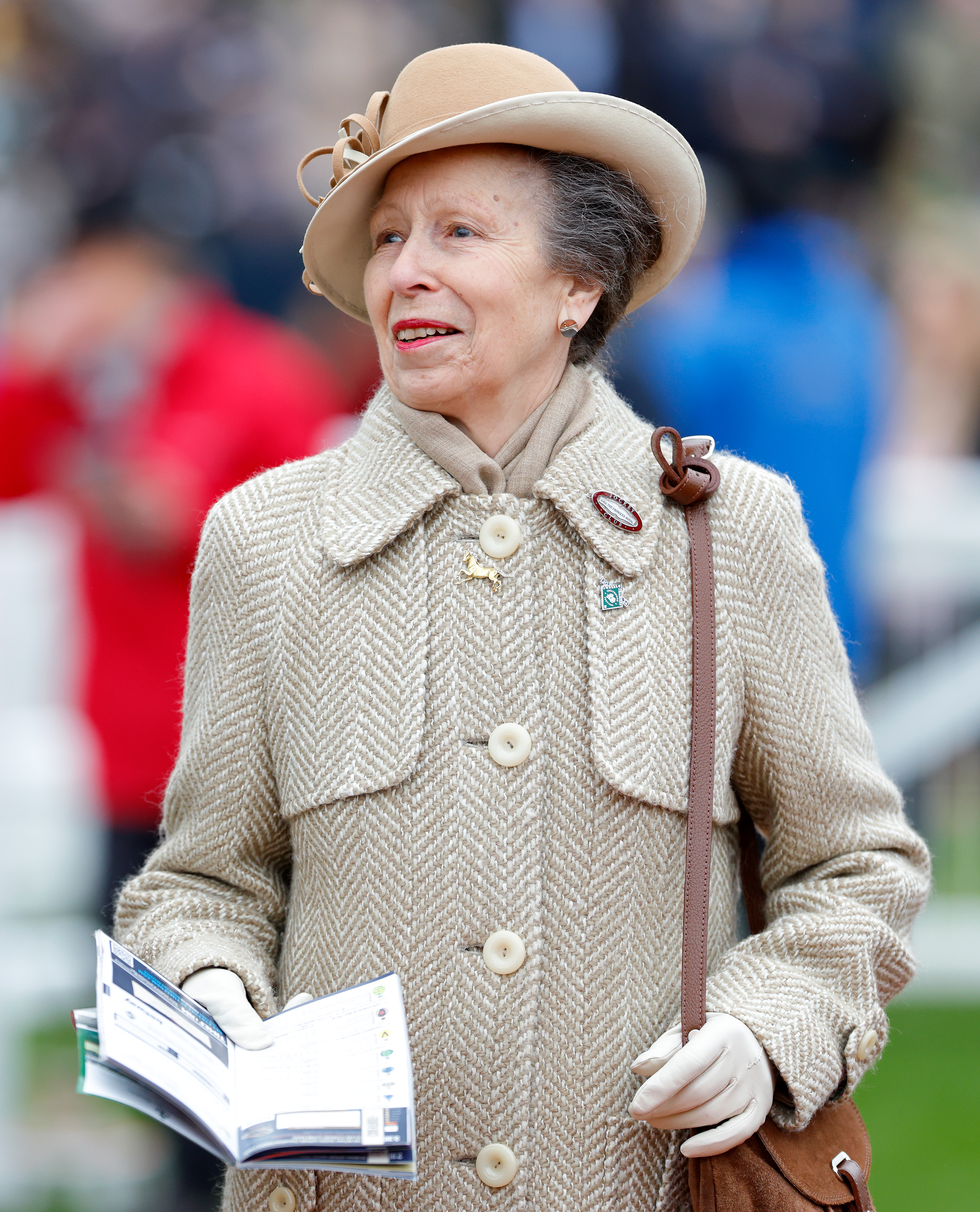 Princess Anne at Cheltenham
