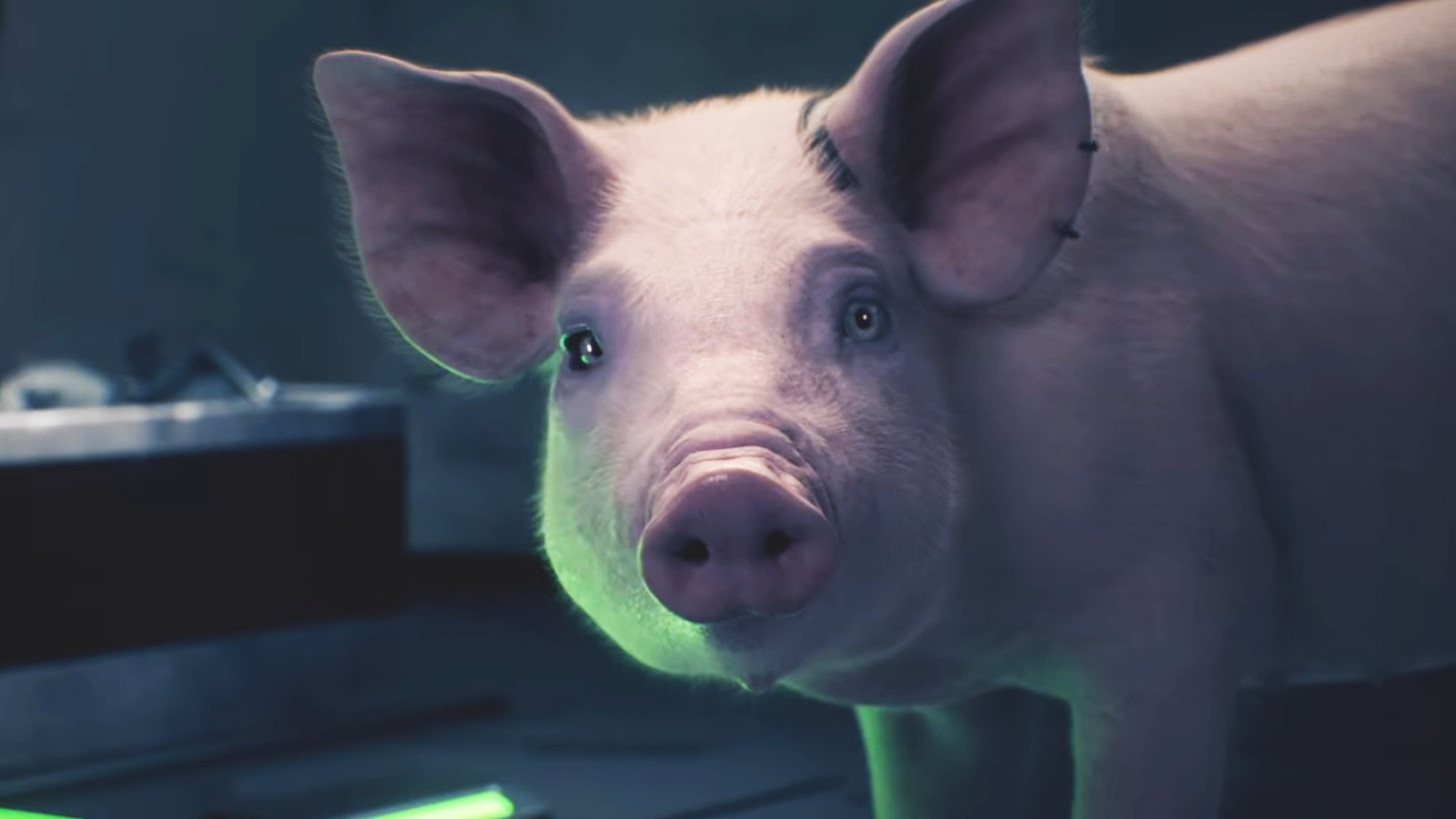 This hyper-intelligent pig named Charlotte is all I needed to get me completely locked into this Mass Effect veteran's new space RPG