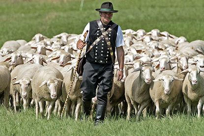 Check out these delightful photos from Germany's Shepherds Championships