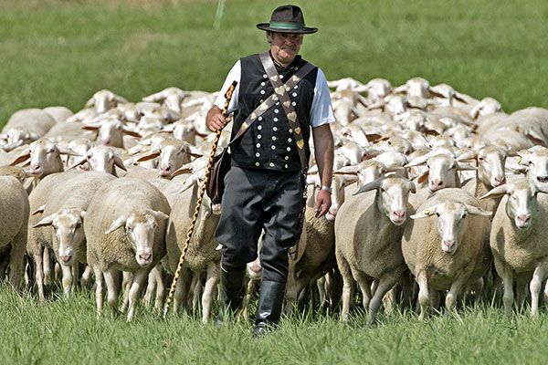 Check out these delightful photos from Germany&amp;#039;s Shepherds Championships