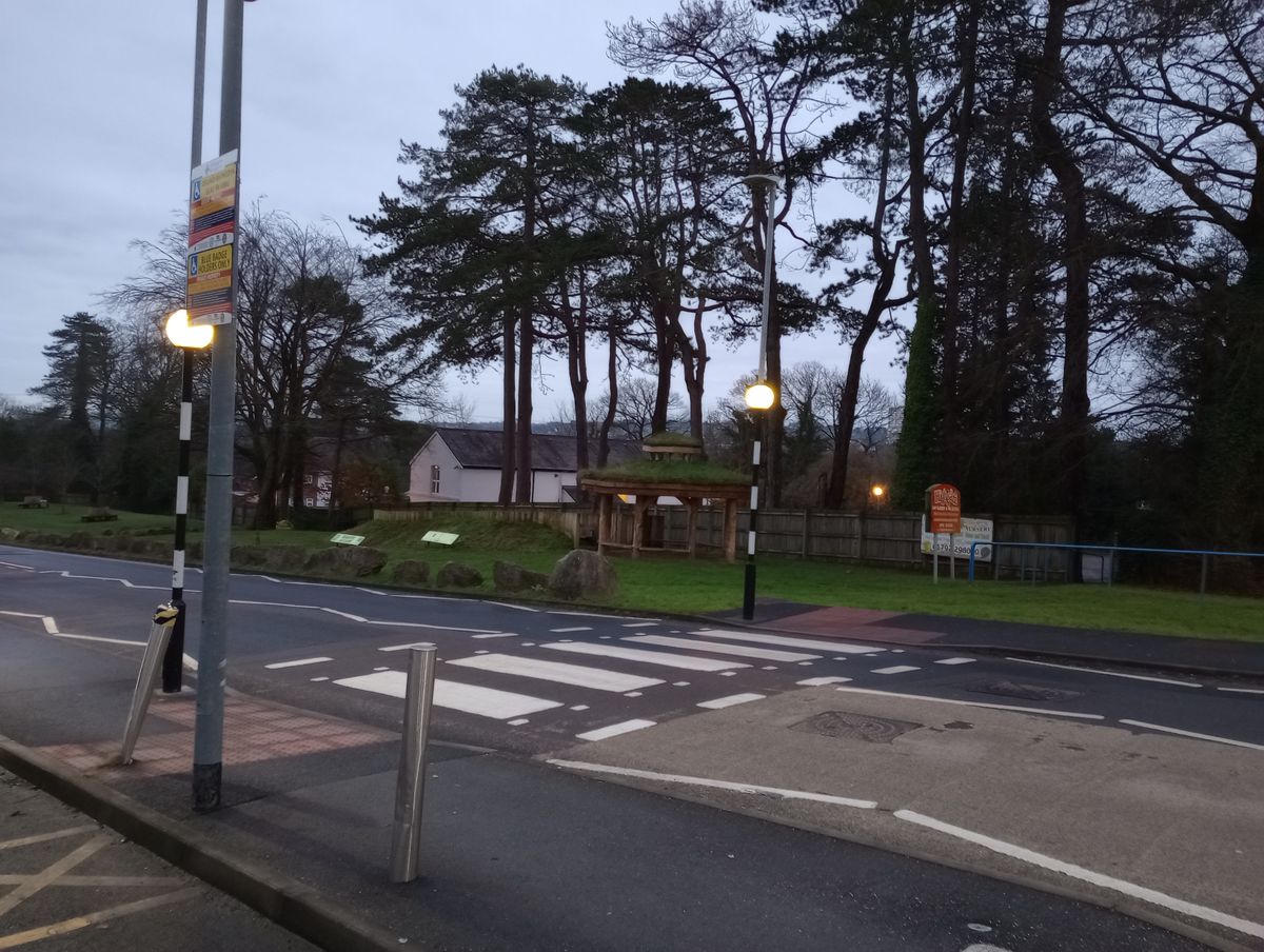 A Moto G31 camera sample