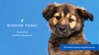 Wisdom Panel Dog DNA Test&nbsp; $79.99