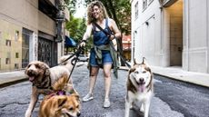 Young smiling woman walking three dogs in an urban neighborhood