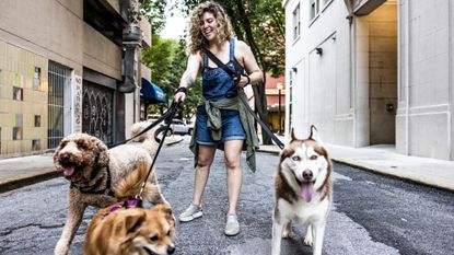 Young smiling woman walking three dogs in an urban neighborhood