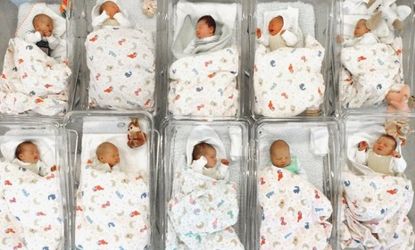 Newborn babies in a maternity ward