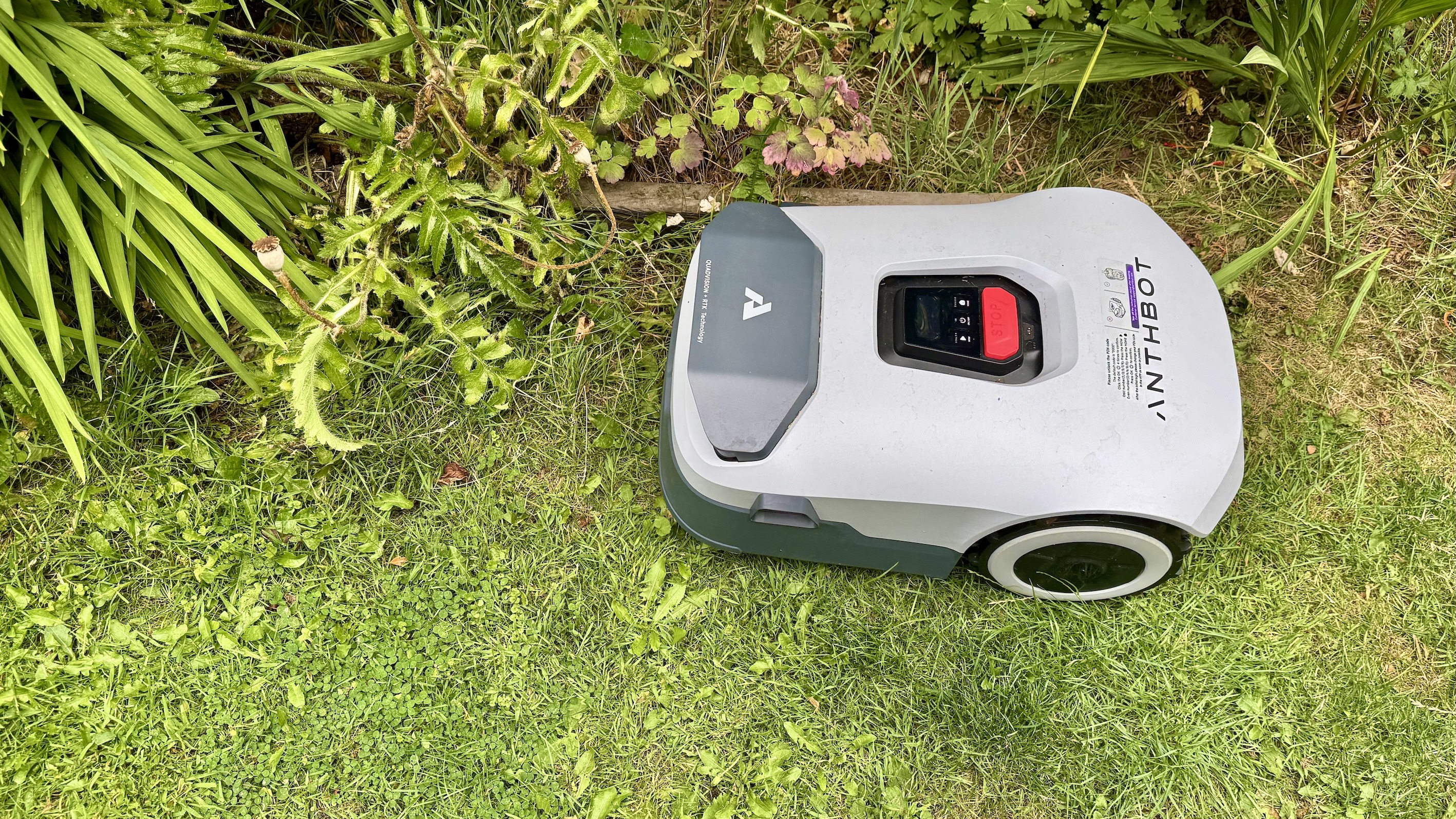 Anthbot Genie