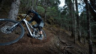 Amflow PL Carbon Pro (800 Wh/600 Wh) riding a loamy singletrack trail in aforest