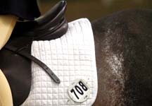 dressage22.jpg