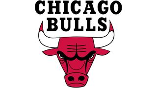 Chicago Bulls logo