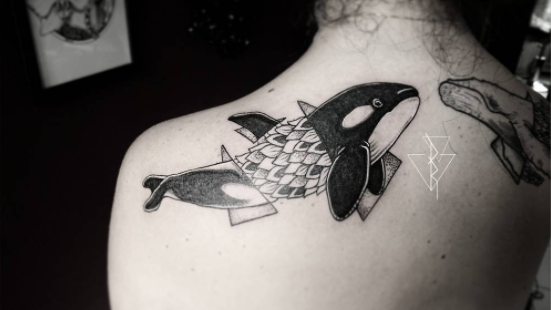Whale tattoo