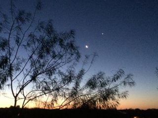 Venus and Moon Over Phoenix