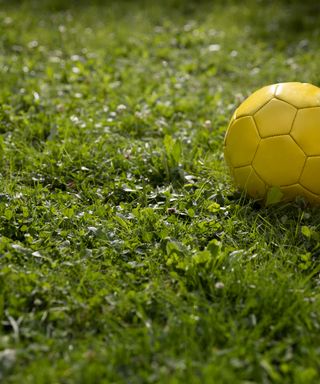 yellow soccer ball on a lawn