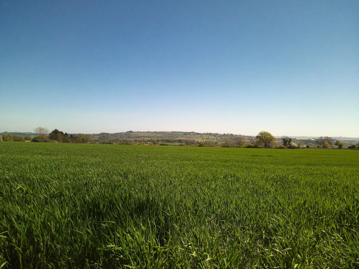 Sample image from Camp Snap CS-Pro digital compact camera showing landscape with green field in foreground