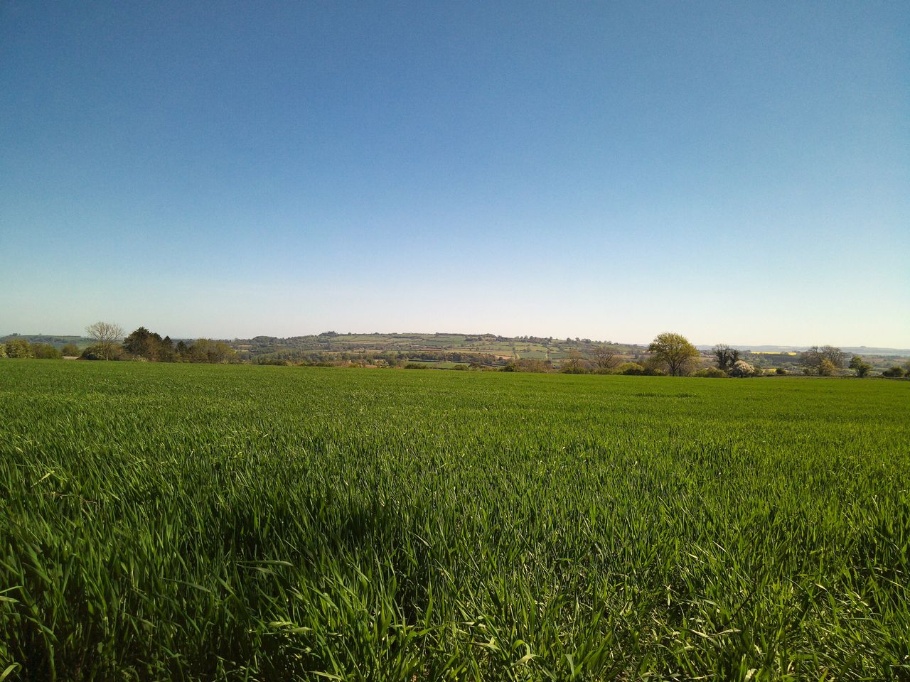 Sample image from Camp Snap CS-Pro digital compact camera showing landscape with green field in foreground