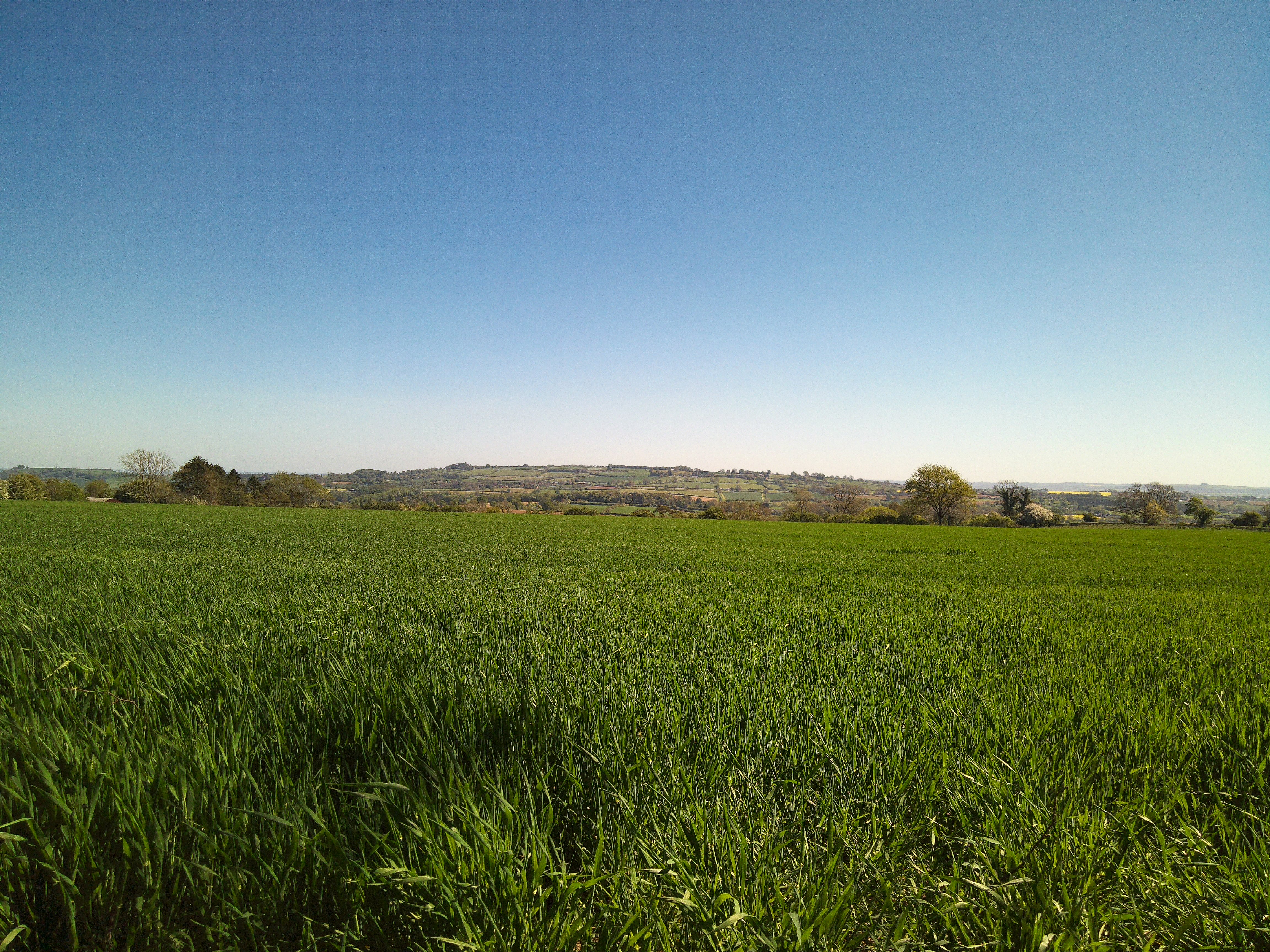 Sample image from Camp Snap CS-Pro digital compact camera showing landscape with green field in foreground