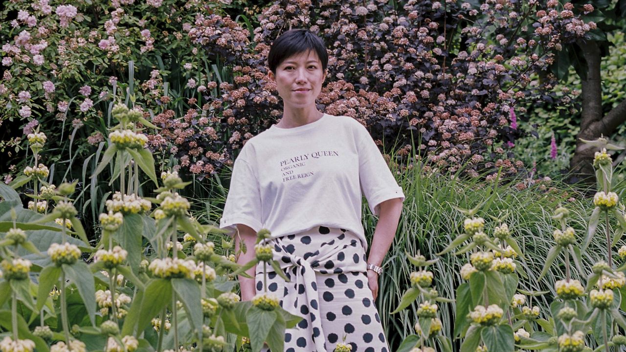 Sandra Choi&#039;s garden