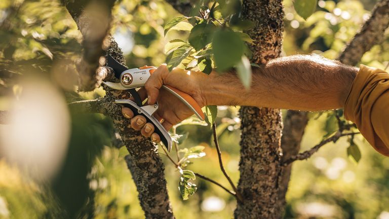 Fiskars Plus PowerLever Metal Bypass Pruner P751, one of the best secateurs you can buy