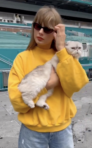 Taylor Swift wears a yellow sweatshirt with distressed wide leg jeans while holding her cat