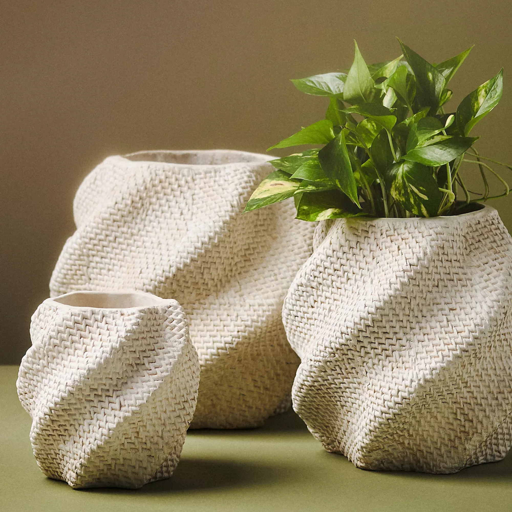 Three textured off-white plant pots against a green-brown background