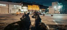The Austrian documentary "Space Dogs" follows strays through the streets of Moscow and looks back at the canine pioneers who paved the way to space for humanity. 