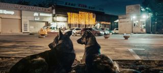 The Austrian documentary "Space Dogs" follows strays through the streets of Moscow and looks back at the canine pioneers who paved the way to space for humanity. 