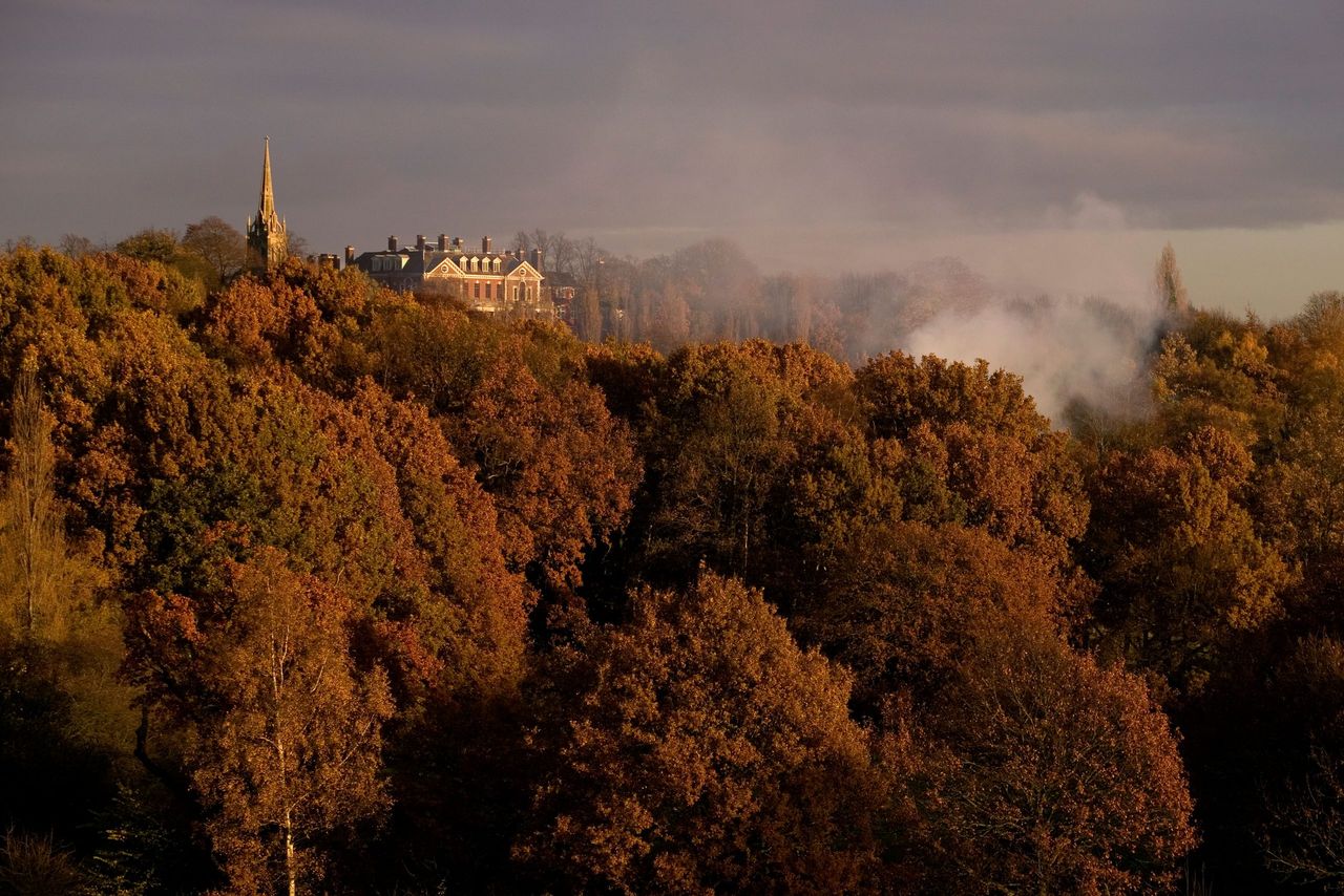 Highgate Church viewed from Hamstead Heath