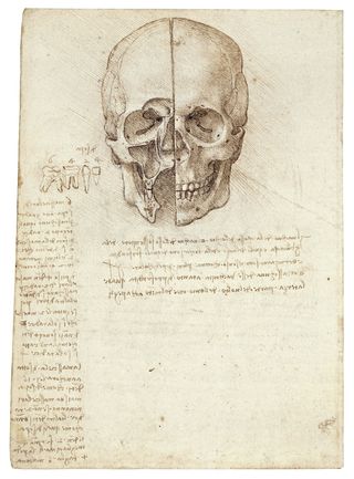 Leonardo da Vinci's sketch of a skull.