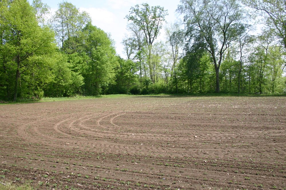 Prehistoric ceremonial site