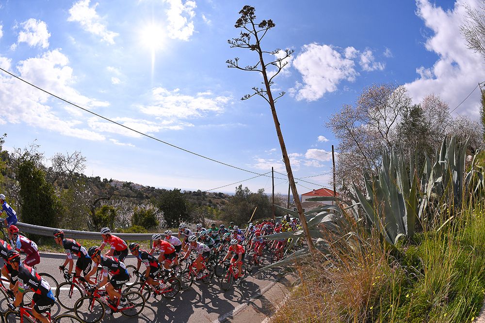 The Algarve peloton in action during stage 5