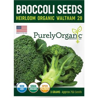 Organic Broccoli Seeds 