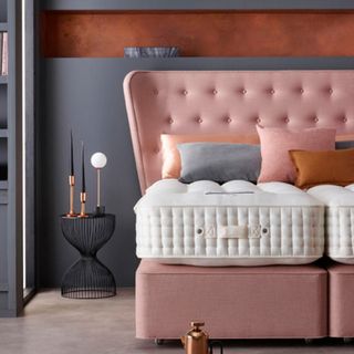 A Harrison Spinks mattress on a pink divan bed in a bedroom with dark grey walls