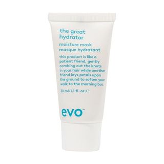  Evo the Great Hydrator Moisture Hair Mask - Moisturise, Add Softness & Shine, Nourishing & Hydrating Treatment for Dry Hair - Travel Size, 30ml / 1.01fl.oz : Beauty & Personal Care