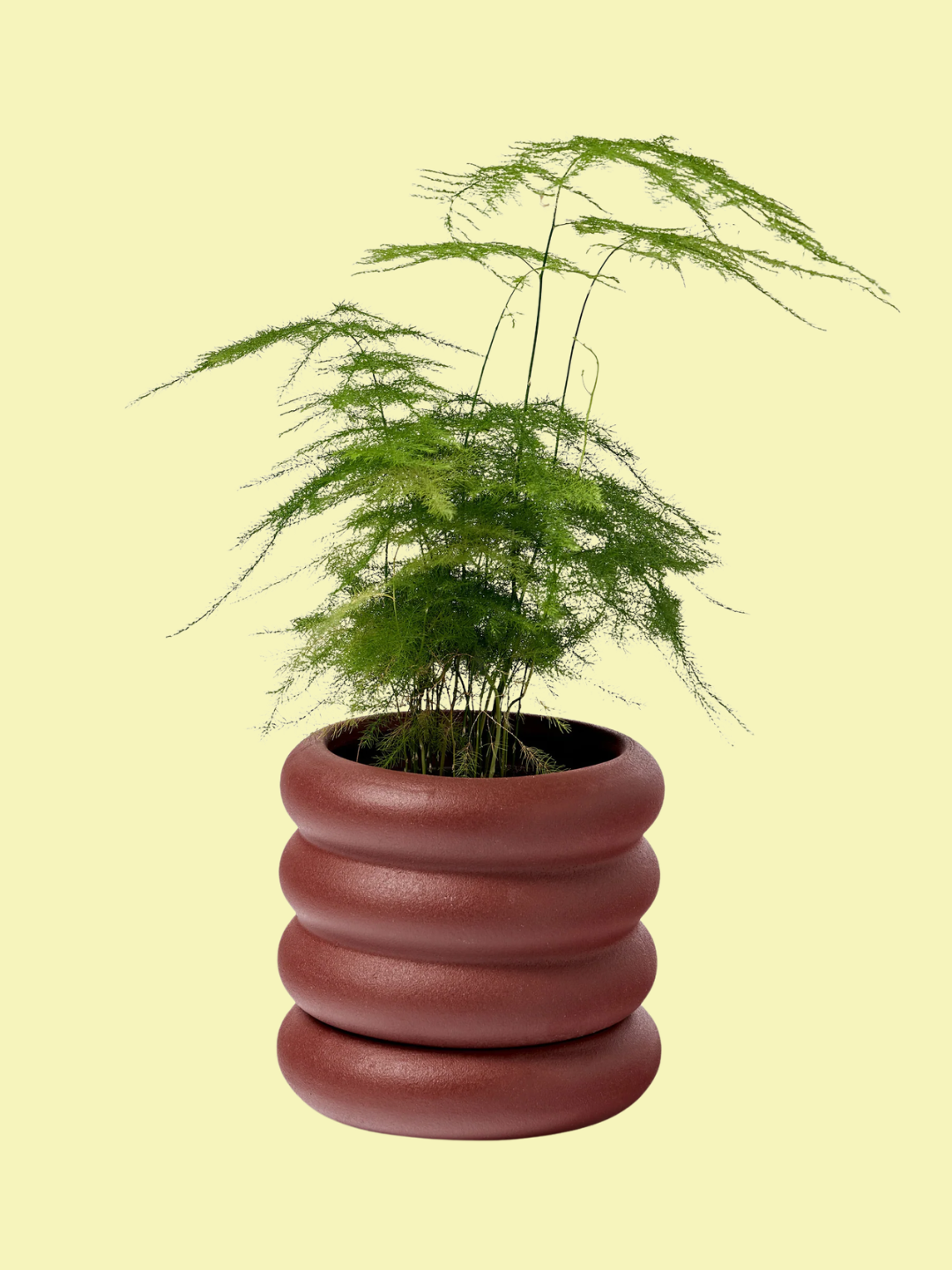 A rust red planter and saucer from Westwing