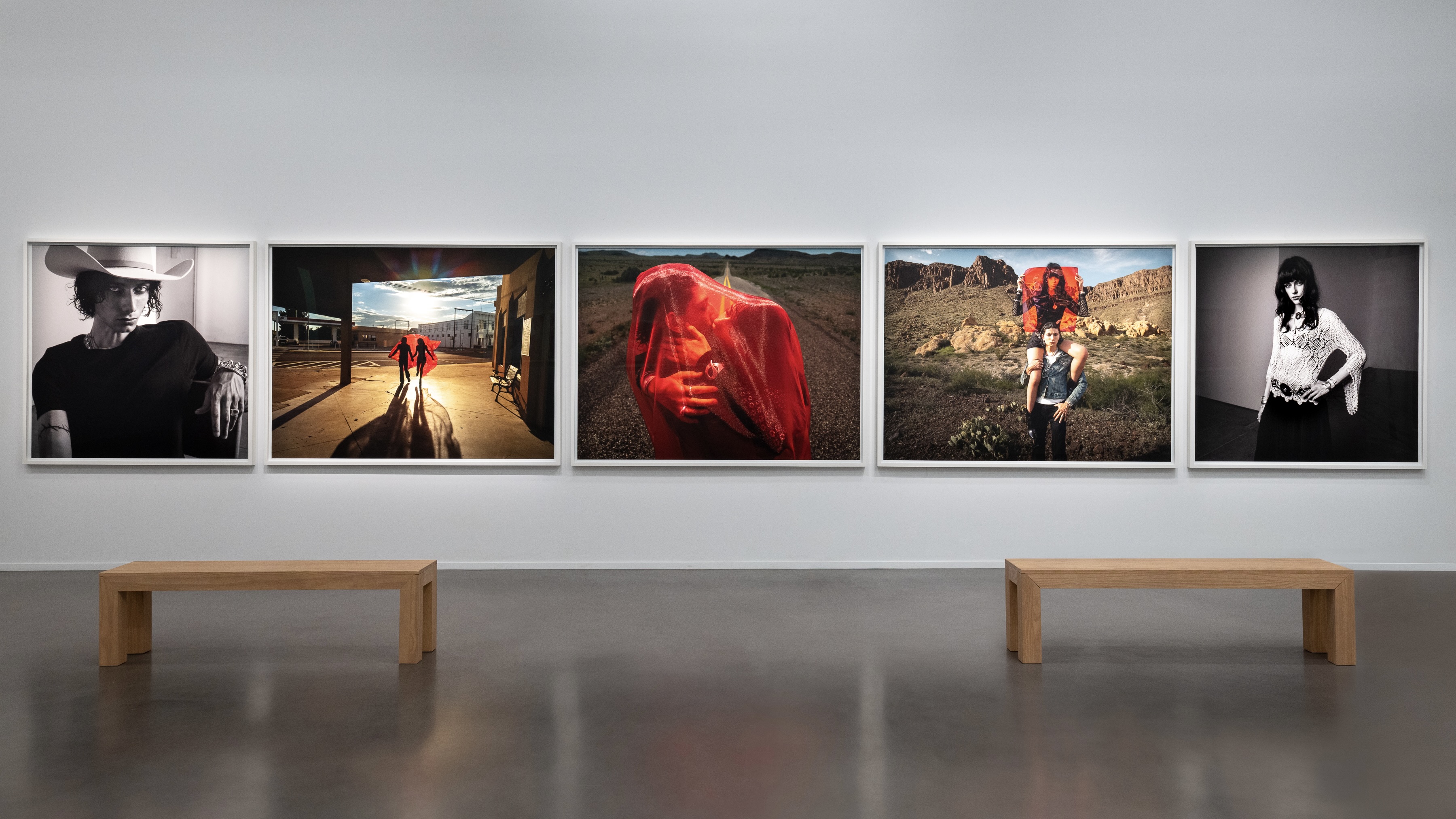 iPhone 17 Pro Max camera exhibition