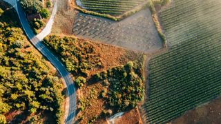 bird's eye view of Champagne