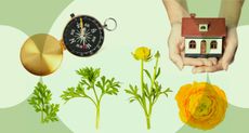Investment trusts, the importance of understanding pensionoptions, and retirement planning