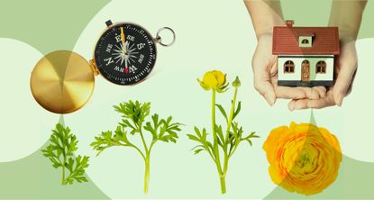 Investment trusts, the importance of understanding pensionoptions, and retirement planning