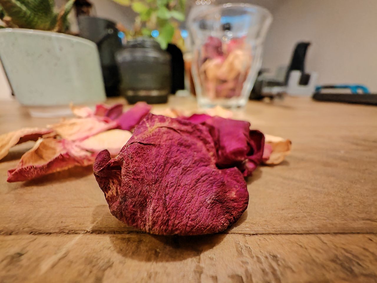 Sample photos taken on the Honor Magic 4 Pro