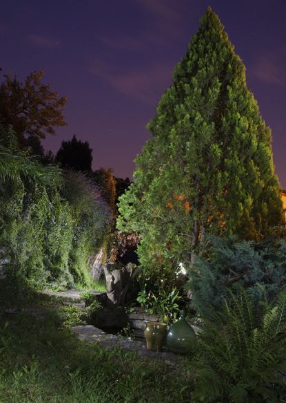 Garden Lit Up At Night