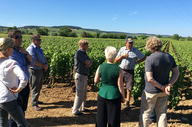 New Zealand winemakers, Jefford on Monday