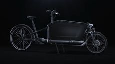 Cube cargo e-bike