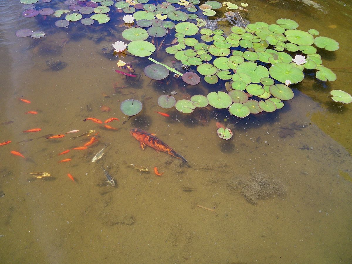 Sample image taken with the Camp Snap 2