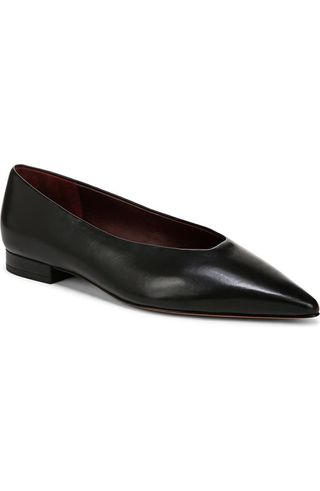 Isabel Pointed Toe Flat