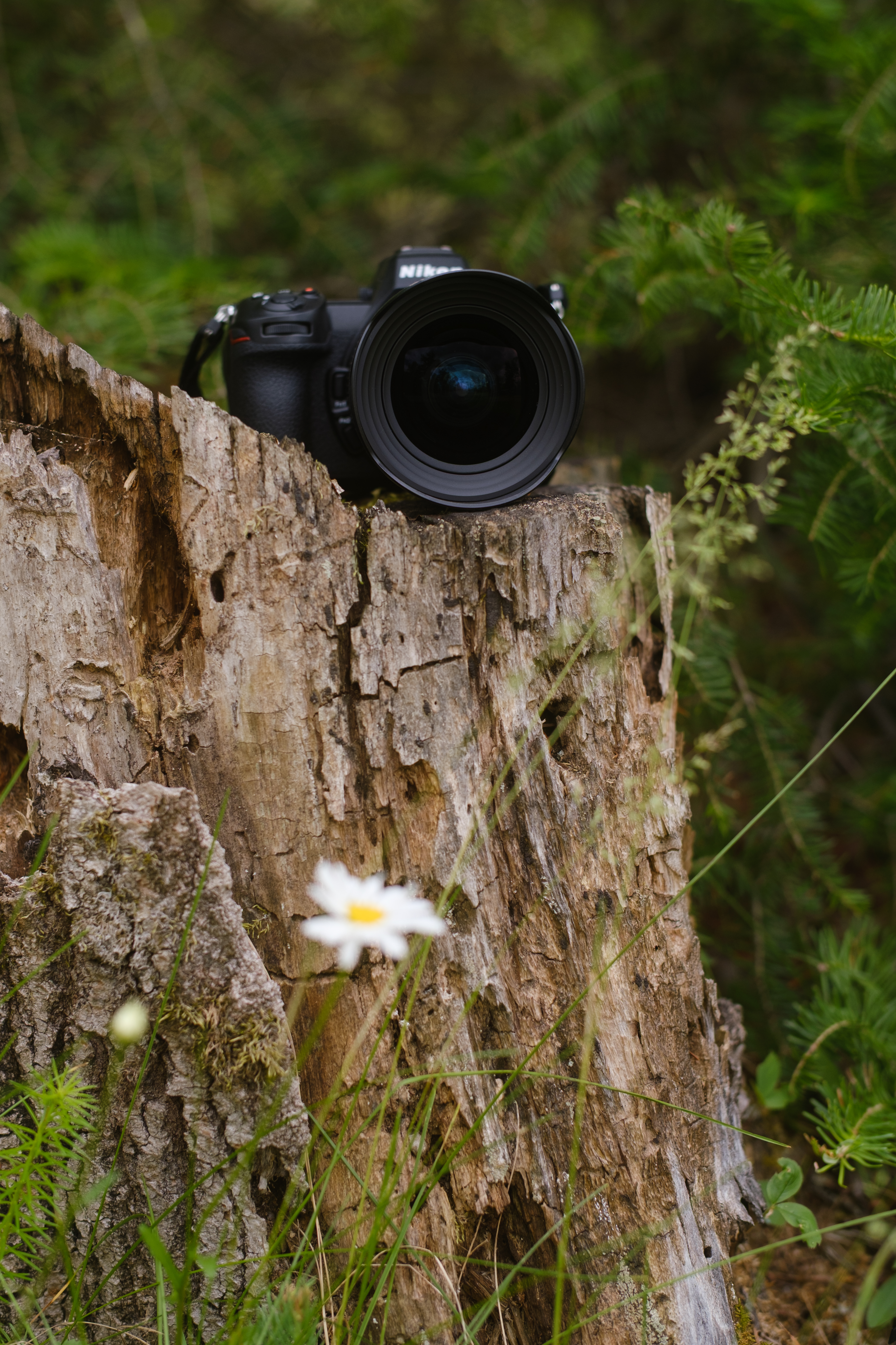 The Tamron 12-20mm f/2.8 photographed outdoors
